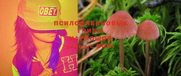 2c-b Липки