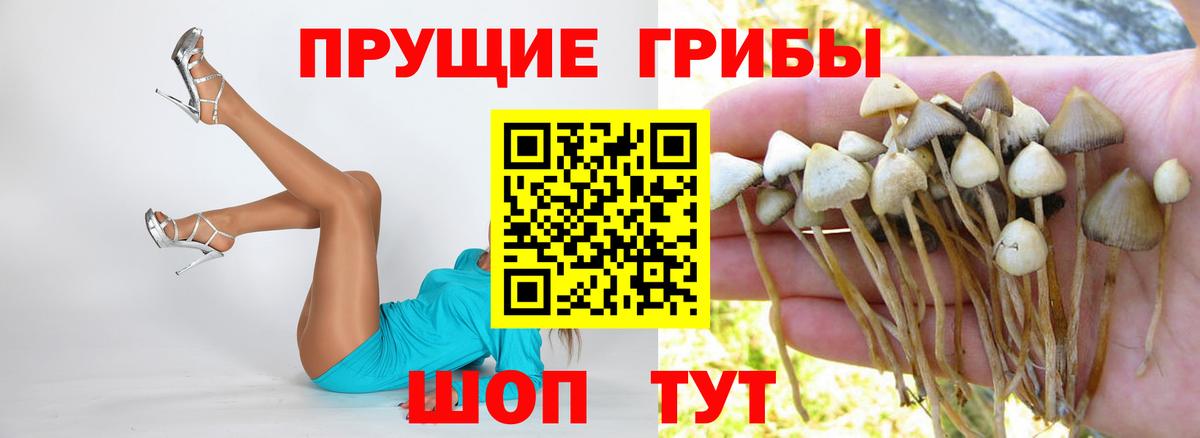 Галлюциногенные грибы MAGIC MUSHROOMS Красноармейск